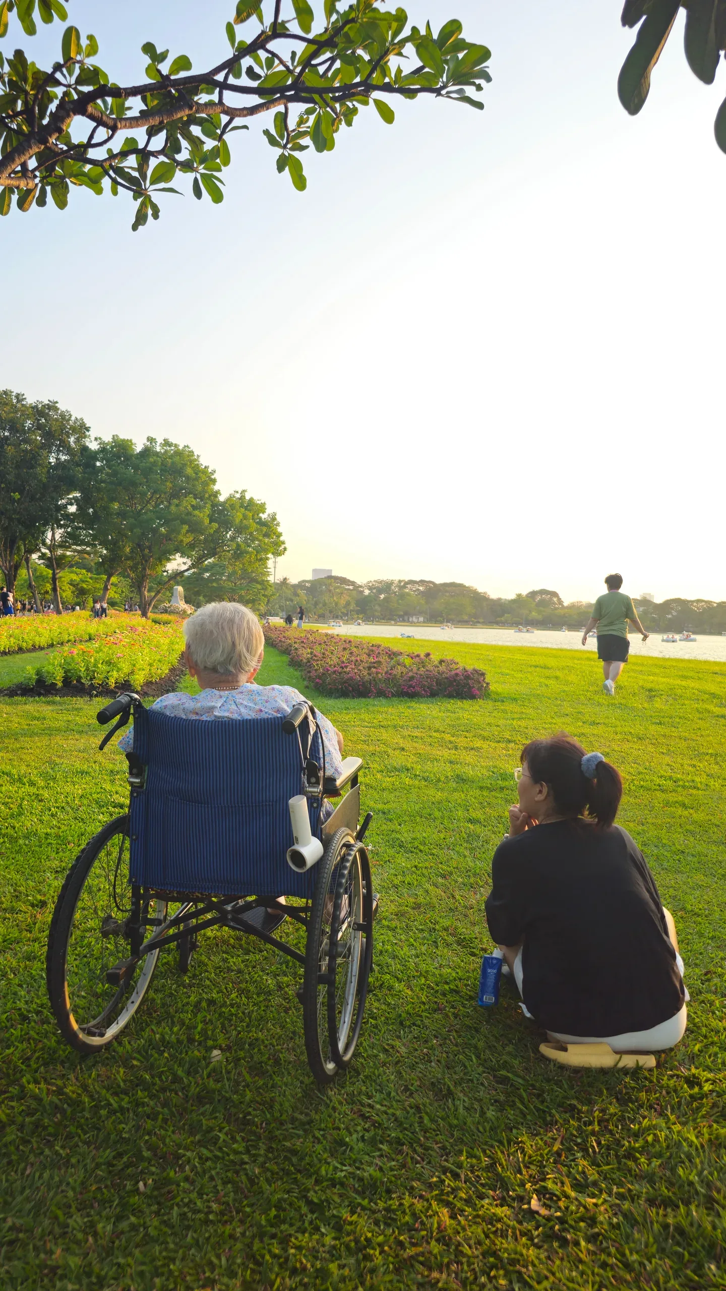Older wheelchair user spending time with a companion in a sunny park